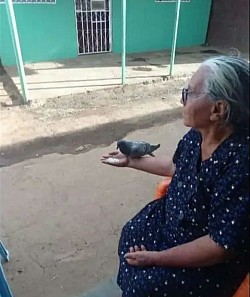 Sierva del señor Dios la llevo a casa,hna Julia (18-03-2023)
